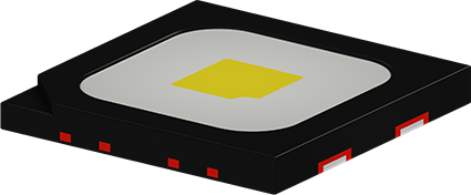 c26