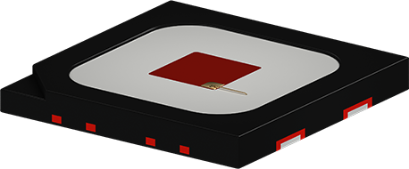 c25